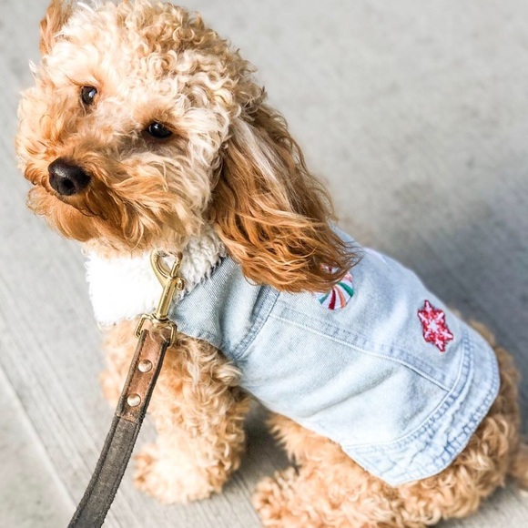 Wondershop Other - Large Dog Cat Jacket - Denim Sherpa Vest - Blue